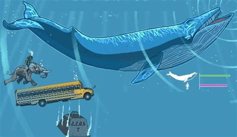 mavi balina hakkında ilginç bilgiler